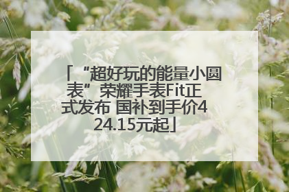 “超好玩的能量小圆表”荣耀手表Fit正式发布 国补到手价424.15元起