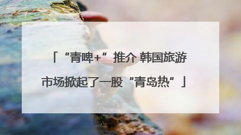“青啤+”推介 韩国旅游市场掀起了一股“青岛热”