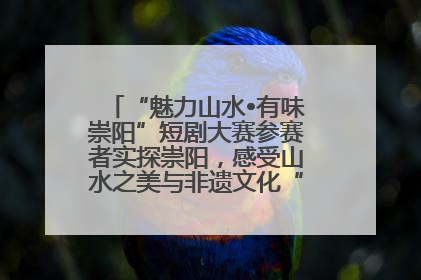 “魅力山水•有味崇阳”短剧大赛参赛者实探崇阳，感受山水之美与非遗文化“提琴戏”魅力