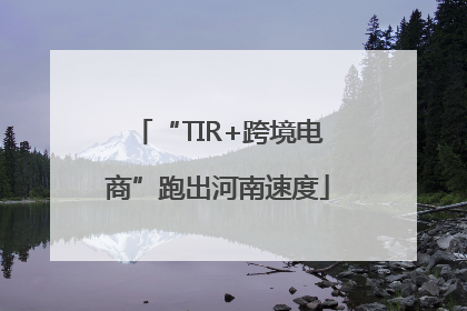 “TIR+跨境电商”跑出河南速度