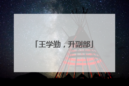 王学勤，升副部