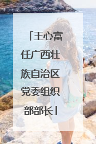 王心富任广西壮族自治区党委组织部部长