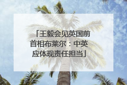 王毅会见英国前首相布莱尔：中英应体现责任担当