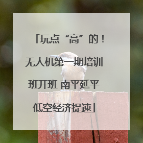 玩点“高”的！无人机第一期培训班开班 南平延平低空经济提速