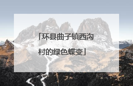 环县曲子镇西沟村的绿色蝶变