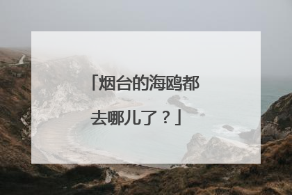 烟台的海鸥都去哪儿了？