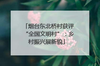 烟台东北桥村获评“全国文明村”：乡村振兴展新貌