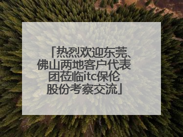 热烈欢迎东莞、佛山两地客户代表团莅临itc保伦股份考察交流