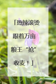 热辣滚烫 跟着万亩粮王“抢”收麦！