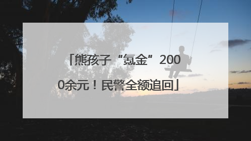 熊孩子“氪金”2000余元！民警全额追回
