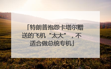 特朗普抱怨卡塔尔赠送的飞机“太大”，不适合做总统专机