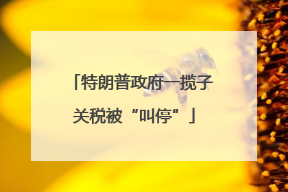 特朗普政府一揽子关税被“叫停”