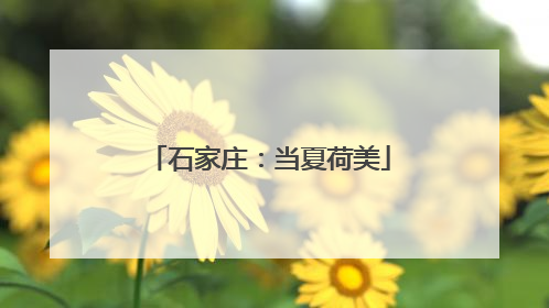 石家庄：当夏荷美
