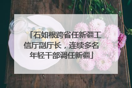 石如根跨省任新疆工信厅副厅长，连续多名年轻干部调任新疆