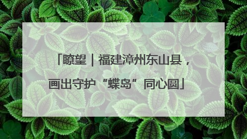 瞭望｜福建漳州东山县，画出守护“蝶岛”同心圆