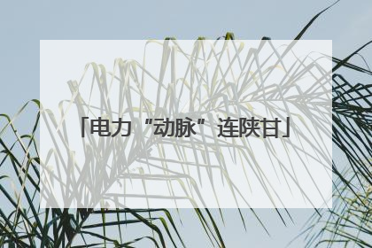 电力“动脉”连陕甘