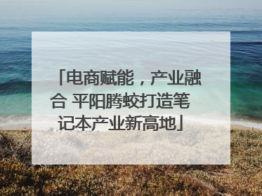 电商赋能，产业融合 平阳腾蛟打造笔记本产业新高地