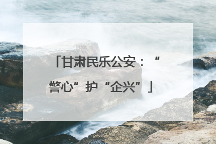 甘肃民乐公安：“警心”护“企兴”