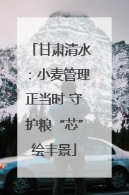 甘肃清水：小麦管理正当时 守护粮“芯”绘丰景