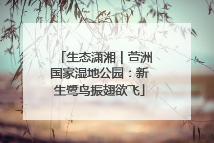生态潇湘｜萱洲国家湿地公园：新生鹭鸟振翅欲飞