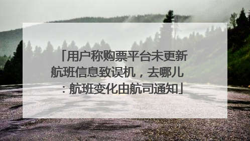 用户称购票平台未更新航班信息致误机，去哪儿：航班变化由航司通知