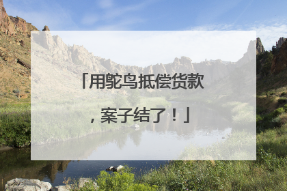 用鸵鸟抵偿货款，案子结了！