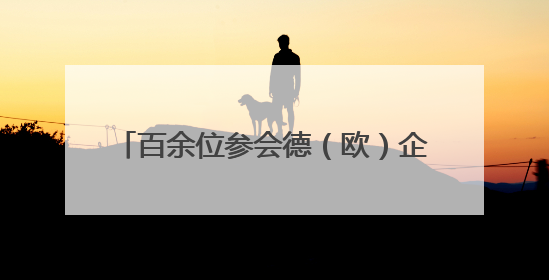 百余位参会德（欧）企业家代表走进顺义，感受顺义产业发展活力