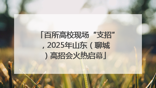 百所高校现场“支招”，2025年山东（聊城）高招会火热启幕