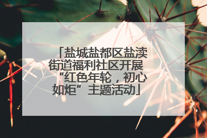 盐城盐都区盐渎街道福利社区开展“红色年轮，初心如炬”主题活动