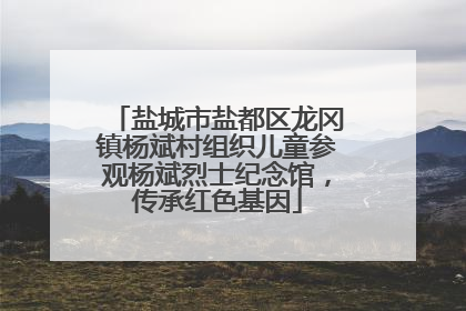 盐城市盐都区龙冈镇杨斌村组织儿童参观杨斌烈士纪念馆，传承红色基因