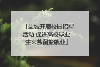 盐城开展校园招聘活动 促进高校毕业生来盐留盐就业