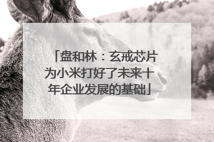 盘和林：玄戒芯片为小米打好了未来十年企业发展的基础