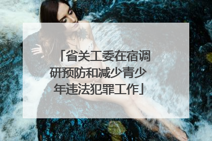省关工委在宿调研预防和减少青少年违法犯罪工作