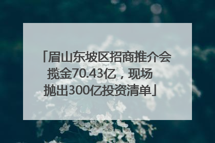 眉山东坡区招商推介会揽金70.43亿，现场抛出300亿投资清单