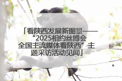 看陕西发展新图景——“2025相约丝博会 全国主流媒体看陕西”主题采访活动见闻