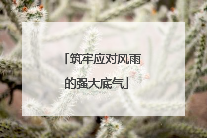 筑牢应对风雨的强大底气