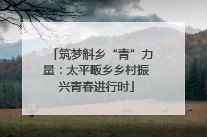 筑梦斛乡“青”力量：太平畈乡乡村振兴青春进行时