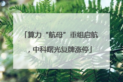 算力“航母”重组启航，中科曙光复牌涨停