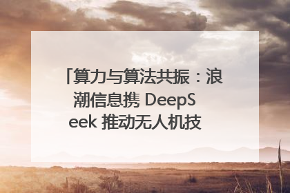 算力与算法共振：浪潮信息携 DeepSeek 推动无人机技术在舟山落地