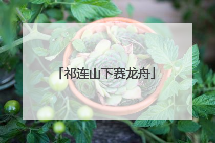 祁连山下赛龙舟