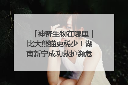 神奇生物在哪里｜比大熊猫更稀少！湖南新宁成功救护濒危鸟类海南鳽