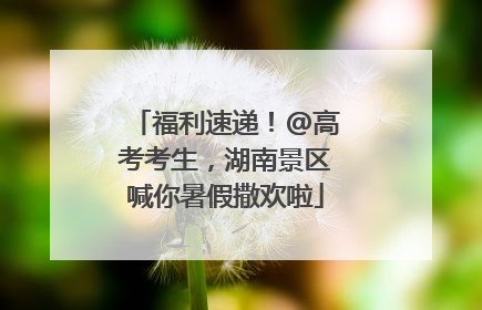 福利速递！@高考考生，湖南景区喊你暑假撒欢啦