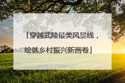 穿越武陵最美风景线，绘就乡村振兴新画卷