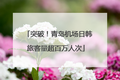突破！青岛机场日韩旅客量超百万人次