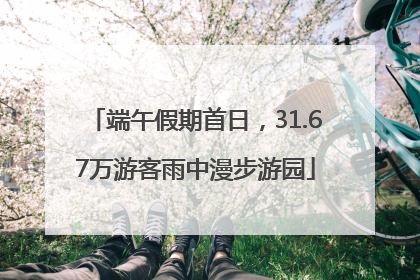 端午假期首日，31.67万游客雨中漫步游园