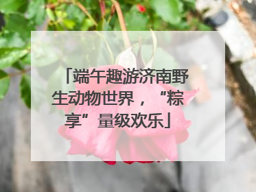 端午趣游济南野生动物世界，“粽享”量级欢乐