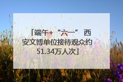 端午+“六一” 西安文博单位接待观众约51.34万人次