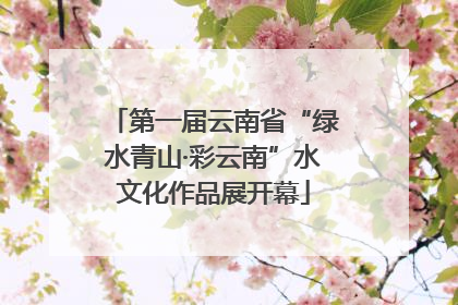 第一届云南省“绿水青山·彩云南”水文化作品展开幕