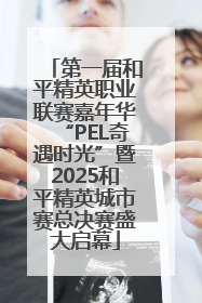 第一届和平精英职业联赛嘉年华“PEL奇遇时光”暨2025和平精英城市赛总决赛盛大启幕