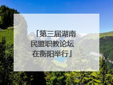 第三届湖南民盟职教论坛在衡阳举行
